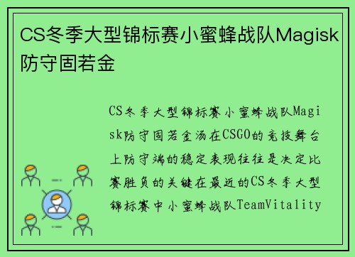 CS冬季大型锦标赛小蜜蜂战队Magisk防守固若金