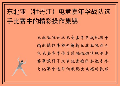 东北亚（牡丹江）电竞嘉年华战队选手比赛中的精彩操作集锦