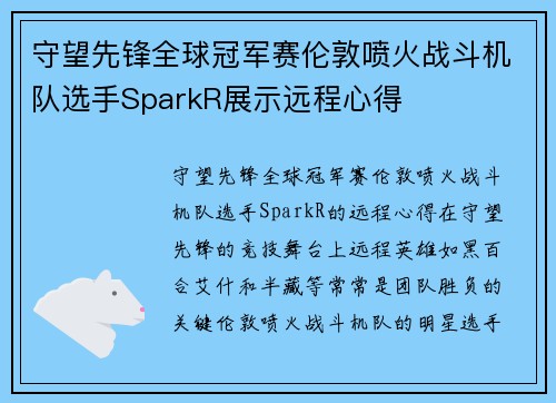 守望先锋全球冠军赛伦敦喷火战斗机队选手SparkR展示远程心得
